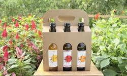 Nature et Saveurs - Ferme Aquaponique et Permacole Astérienne - Coffret Kombucha Bio Bysco - 6x33cl
