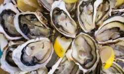 Brest Marée - Plateau Huîtres Creuses ouvertes