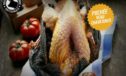 Boucherie Moderne - [Précommande] Pintade Farce VEAU / Châtaignes POCHÉE