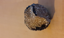 Les Vergers de la Vautée - Truffe de Bourgogne Fraîche