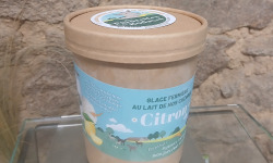Les Pâturettes de Bodavel - Glace Citron 4x480ml