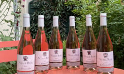 Domaine des Mazis - AOC Châteaumeillant - Vin Rosé - Nuage Rose 2023- 6x75cl