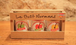 La Ferme DUVAL - Coffret petits pots caramel x3