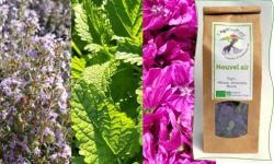 L'Agricueilleur du Suzon - Infusion Nouvel air BIO