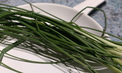 Rébecca les Jolies Fleurs - Herbes fraiches : ciboulette sauvage