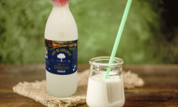 Ferme de La Tremblaye - Lait de vache Jersiaise