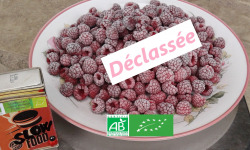 LES JARDINS DE KARINE - Framboises surgelées déclassées à cuire - 0.5kg