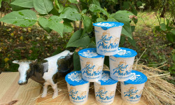 Lait Prairies du Boulonnais - Yaourt nature ferme au lait entier x10