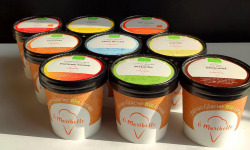 O Maribelle - Lot de 9 glaces (sorbets et crèmes glacées) 125 ml