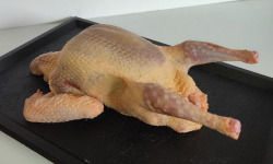 Ferme Bleu Canard - Pigeonneau 420g
