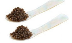 Caviar de Neuvic - Lot de 2 cuillères en nacre 7 cm