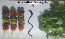 Le Paradis d'Escargot - la brochette d’escargots