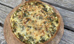 Ferme Sinsac - Tartes aux oignons frais du jardin lot de 5 (4 personnes 21 cm)
