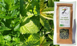 L'Agricueilleur du Suzon - Infusion Salut des repus BIO