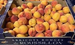 Délit de Gourmandise - Abricots rouges du Roussillon AOP Bio - 4,5 kg