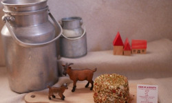 Boutique Boisette - Chèvre enrobé saveurs du jardin 150g