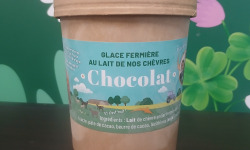 Les Pâturettes de Bodavel - Glace Chocolat 480ml