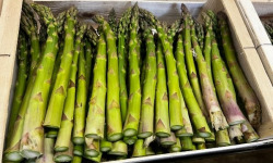 Domaine Reverchon - Asperge verte 1kg