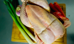 L’Echo Paysan - Chapon fermier du Cantal 1x3.5kg