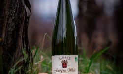 Domaine François WECK et fils - FOIRE AUX VINS : Pinot Gris 2022 - 75cl x6