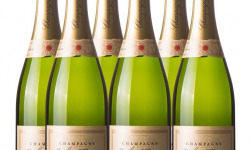 Champagne J. Martin et Fille - Lot de 6 Bouteilles de Champagne Brut Tradition