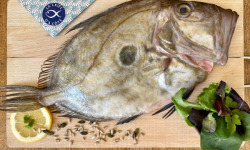 La Criée d'à Côté - Saint Pierre | 1,5kg (1 à 3 pièces)