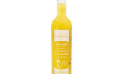 Domaine des Terres Rouges - Vinaigre  à La Pulpe D'Ananas Et à La Menthe Fraîche 10cl