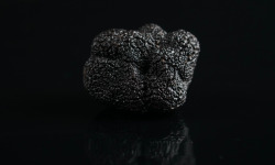 ALENA la Truffe d'Aquitaine - Truffe noire du Périgord fraîche (tuber melanosporum) - 500g