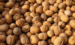 Ferme de Carcouet - Noix - 1 kg