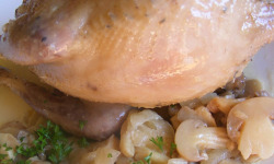 Cailles de Chanteloup - [SURGELÉ] Perdrix prête à cuire, calibre 260/289 gr