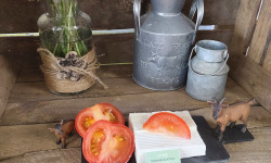 Boutique Boisette - Fête à biquette
