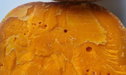 La Finarde - Mimolette extra-vieille