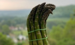 Les Asperges et Framboises du Soissonnais - Asperges Vertes
