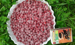 LES JARDINS DE KARINE - Groseilles rouges surgelées - 3kg