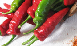 Elissalde Le Potager Basque - Piment Basque Frais Ultra-doux Et Naturel 500 g
