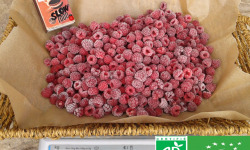 LES JARDINS DE KARINE - Framboise surgelée - 1kg