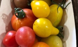 ChâteauFer - Tomate cerise - mix 250g