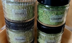 Champinette et Aromates - TRIO D'AROMATES