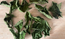 Domaine du Chillou - Feuilles de figuier Bio séché
