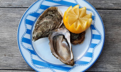 Les Huîtres du Grand Sud - Huitres creuses n°1 d'Arcachon - Cap Ferret x50