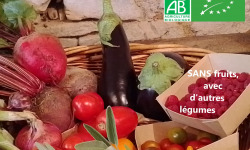 LES JARDINS DE KARINE - PANIER modulable / Légumes bios ROUGE VIOLET