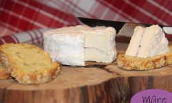 Ferme Dumesnil - T'cheux Nous x1