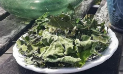 La Cabane à plantes - Infusion Litha