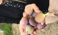 Domaine du Chillou - Figues Bio 250g