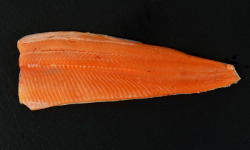 Poissonnerie Robert - Filet de Truite 500g