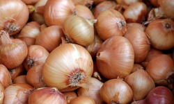 La Ferme de Goas Per - Oignon jaune bio - 500gr