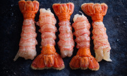 La Maison du Homard - Langoustines mi-cuites décortiquées (calibre 6/9) x 10
