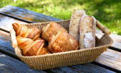 Ferme Sereine en Périgord - 10 Pains au Chocolat "Chocolat'in" PUR BEURRE gourmand PRÉCUIT - Chocolatine