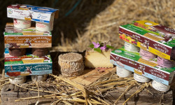 Fromagerie Maurice - 6 Packs de 4 Crèmes Dessert Vanille