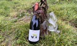 Des Poules et des Vignes à Bourgueil - Au chant du coq 2024